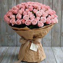 Букет 151 Роза Роуз #REPLACE_PRED# Панахесе