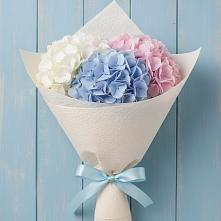 Букет цветов из:  Гортензия в Панахесе