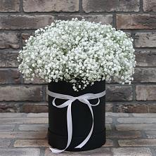 Цветочная композиция из Гипсофила в шляпной коробке в Панахесе